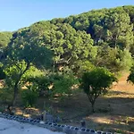 Quinta De Sao Pedro בית חווה Sobreda