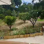 Quinta De Sao Pedro Sobreda