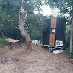 Quinta De Sao Pedro * Sobreda