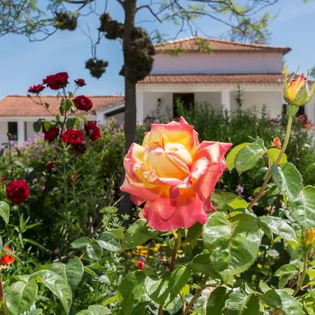 Agroturismo Quinta De Sao Pedro Sobreda