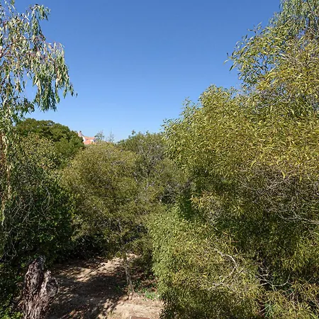 Quinta De Sao Pedro *