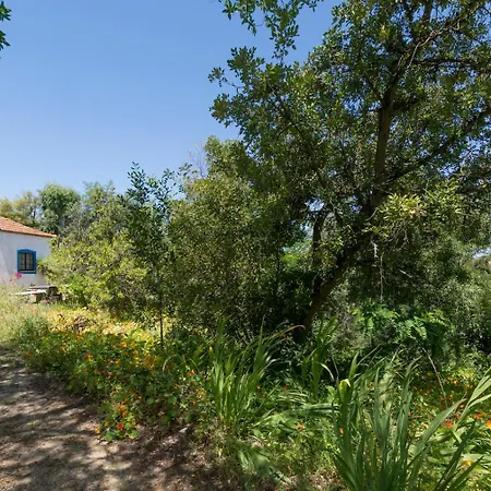בית חווה Quinta De Sao Pedro Sobreda