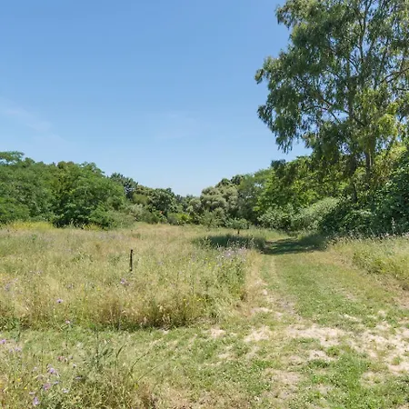 Quinta De Sao Pedro בית חווה *