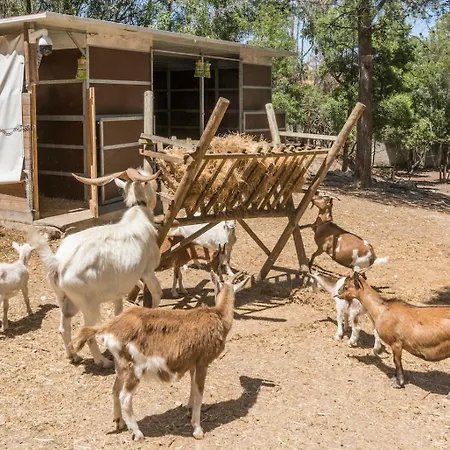 בית חווה Quinta De Sao Pedro Sobreda