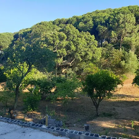 Quinta De Sao Pedro בית חווה Sobreda
