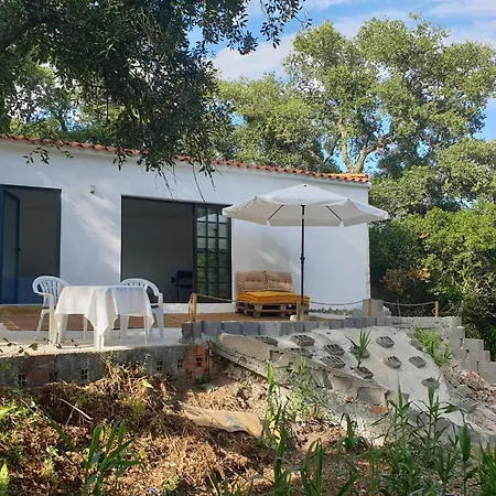 Quinta De Sao Pedro Çiftlik konaklama *