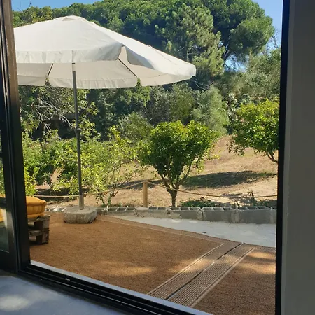 Çiftlik konaklama Quinta De Sao Pedro *