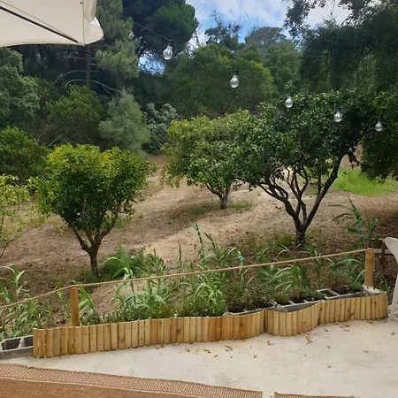 Quinta De Sao Pedro Sobreda