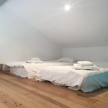 Quinta De Sao Pedro Çiftlik konaklama