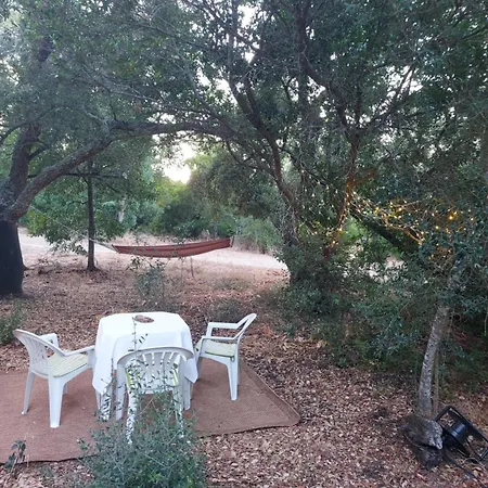 Quinta De Sao Pedro