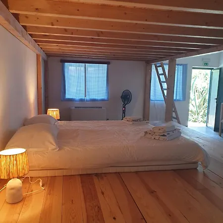 Quinta De Sao Pedro Agroturismo Sobreda