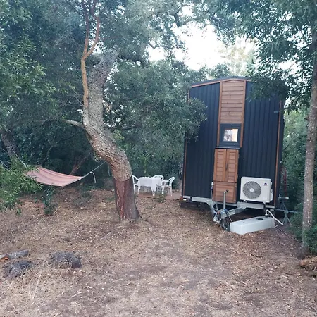 Quinta De Sao Pedro * Sobreda