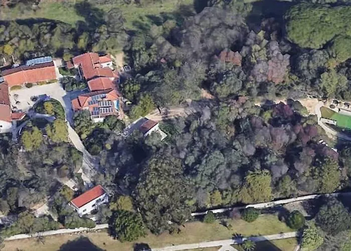 Quinta De Sao Pedro Farma *