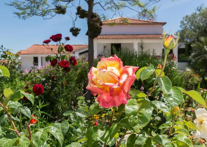 בית חווה Quinta De Sao Pedro Sobreda