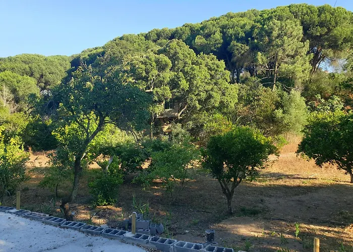 Quinta De Sao Pedro Feriegård Sobreda
