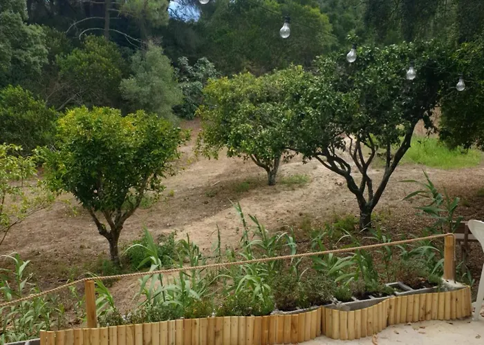 Quinta De Sao Pedro Sobreda