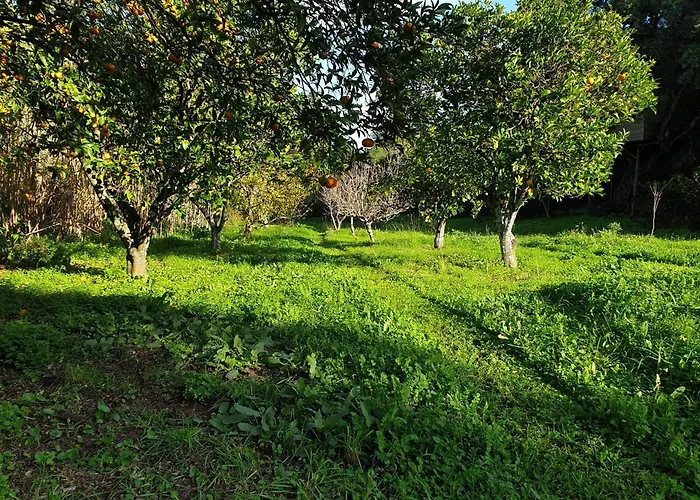 Quinta De Sao Pedro * Sobreda