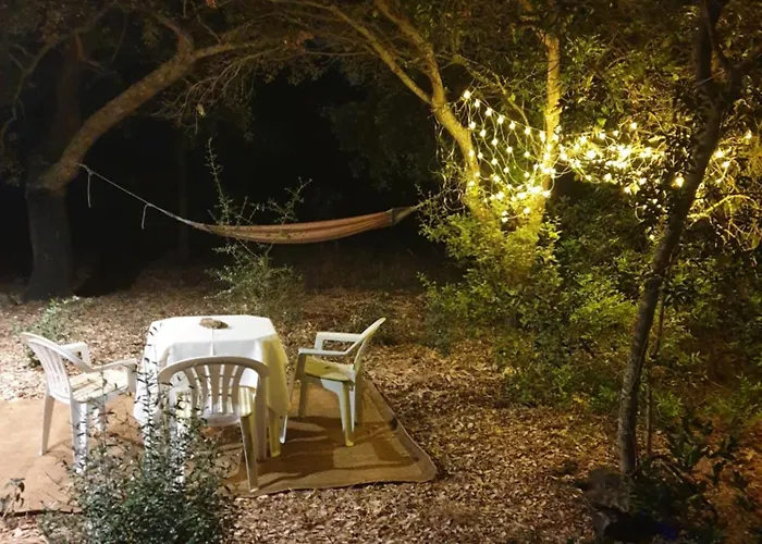 Quinta De Sao Pedro Farma *