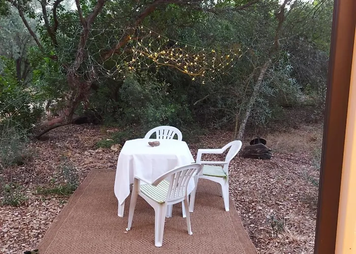 Quinta De Sao Pedro Farma Sobreda