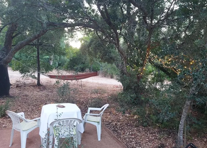 Quinta De Sao Pedro
