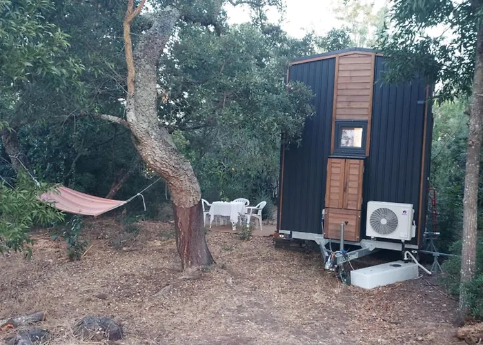 Quinta De Sao Pedro * Sobreda